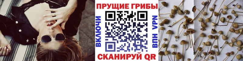 Галлюциногенные грибы ЛСД  Уварово 